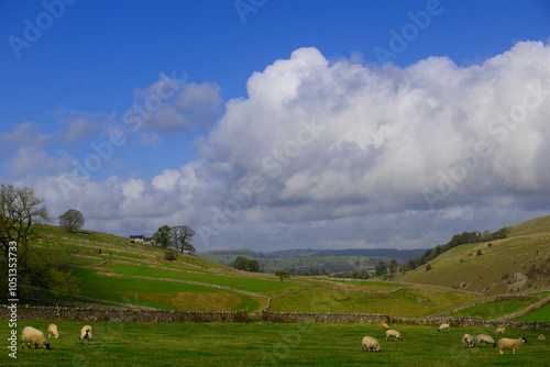 Pastures perfection, in Alstonefield, Derbyshire. photo