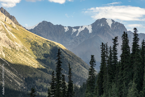 Tall spruce trees and mountain peaks in the scenic Barskoon valley photo