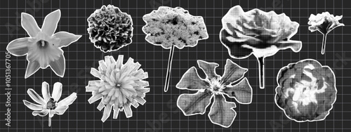 Trendy halftone collage flowers. Rose, meadow flower. Y2K style.