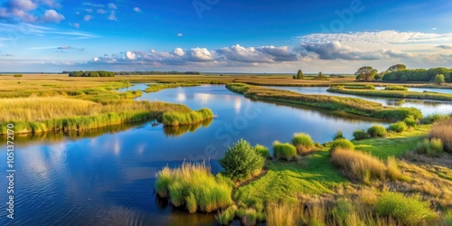 Panoramic view of the Langwarder Groden marshlands in Budjadingen, Germany, marshlands, Budjadingen, Germany photo