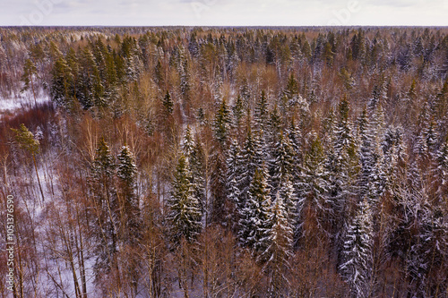 Aerial view of the woodlands in winter day photo