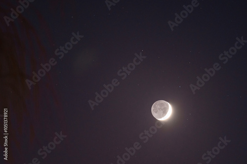 The rising moon in contrast with the silhouette of a tree. Earth's natural satellite in the night sky along with the terminator line photo