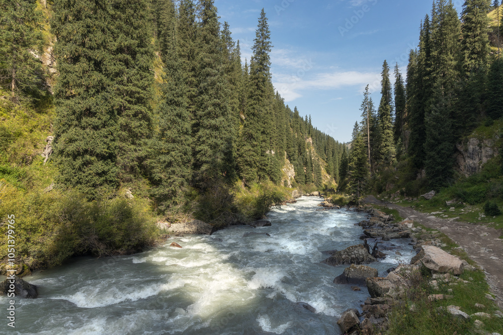 Tall spruce trees and mountain river flowing in the valley of Tien Shan mountains Tall spruce trees and mountain river flowing in the valley of Tien Shan mountains