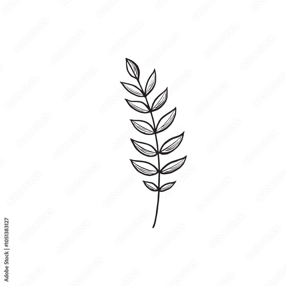 Twig with leaves sketch. Vector graphic line illustration, hand drawn isolated. Black and white doodle of foliage. Forest and park plant, nature concept. Clipart for logo, postcard, sticker, wrapping. Twig with leaves sketch. Vector graphic line illustration, hand drawn isolated. Black and white doodle of foliage. Forest and park plant, nature concept. Clipart for logo, postcard, sticker, wrapping.
