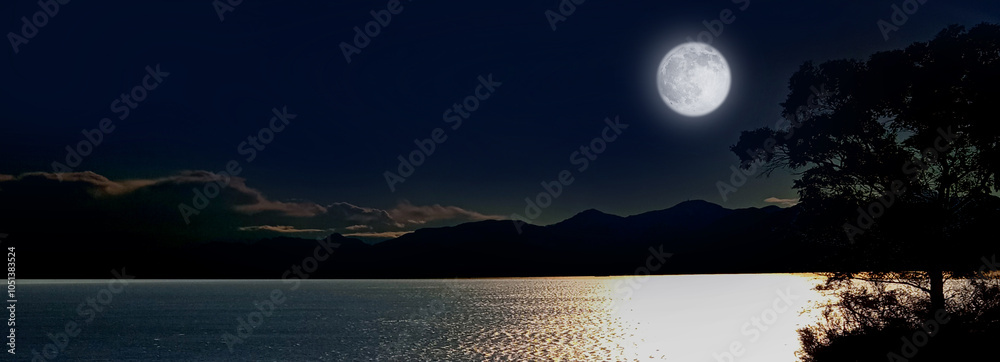Night landscape