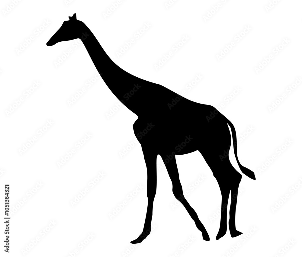 Fototapeta premium giraffe isolated on white background