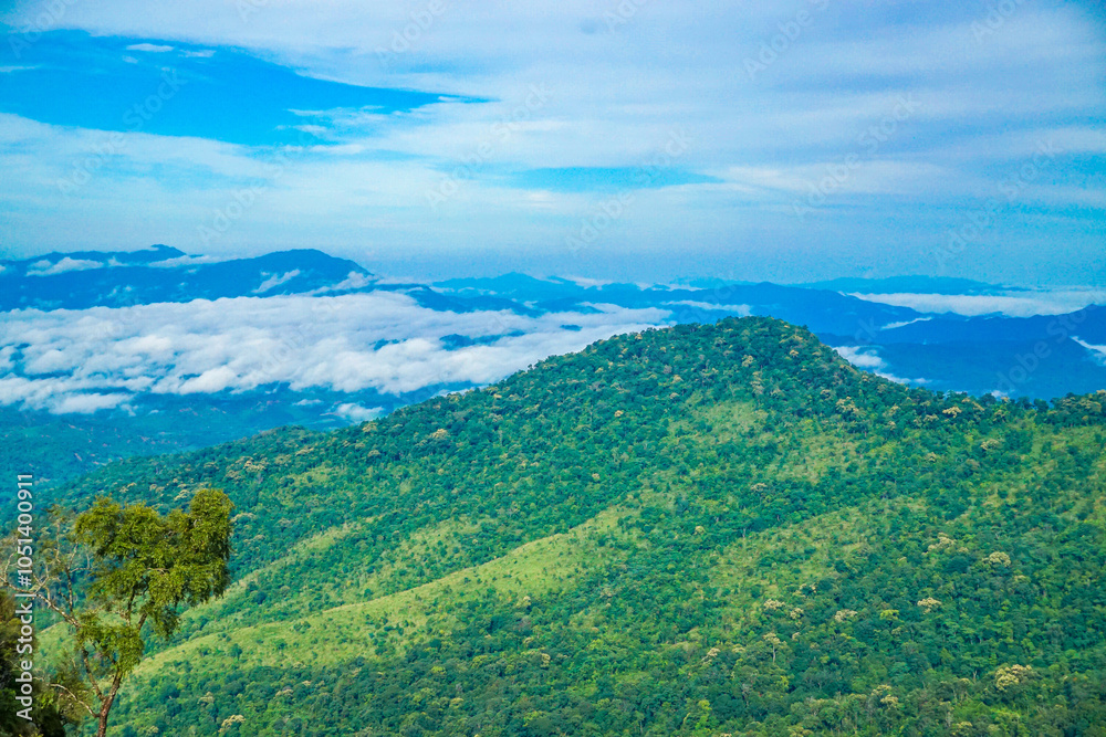 Fototapeta premium A lush green mountainous landscape under a cloudy sky.