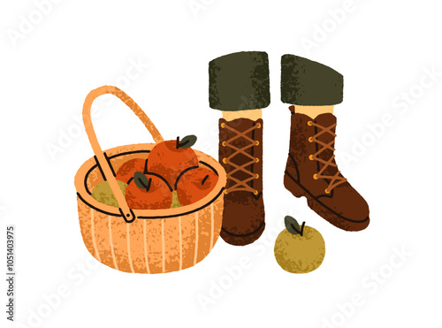 Collected fresh apples in basket, picked garden fruits in wicker. Orchard har...