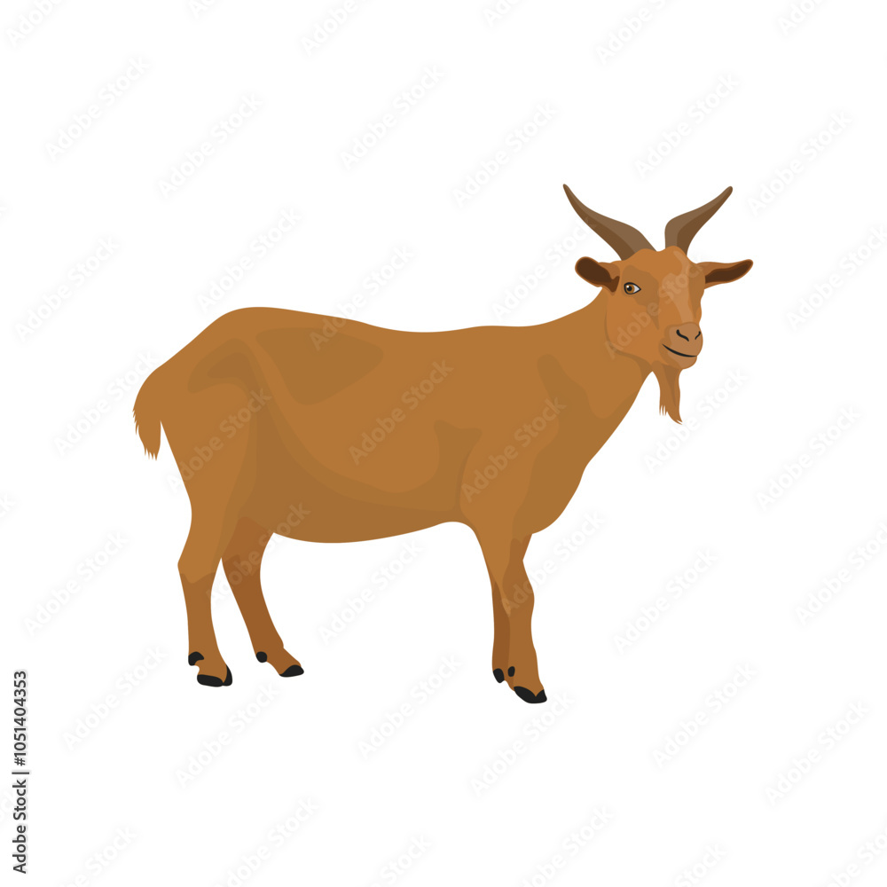 Fototapeta premium Vector illustration of brown goat in cartoon flat style. Goat animal isolated in white background. Female and male nubian goat in different poses. Icon for logo, infographic, digital resources