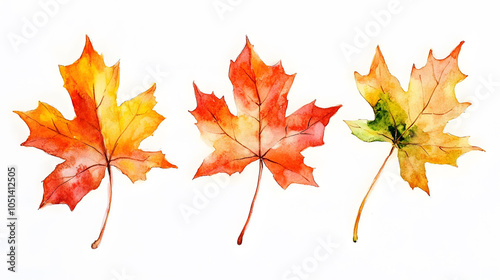 A vibrant red maple leaf isolated on a white background, capturing the essence of autumn with its colorful foliage