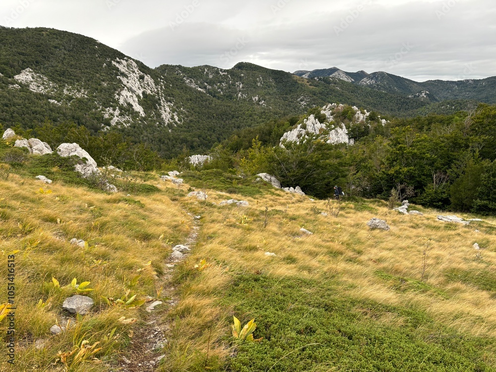 Velebit mountain in Croatia landscape