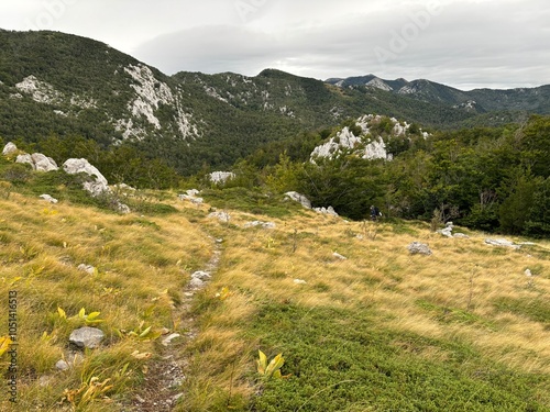 Obraz na płótnie Velebit mountain in Croatia landscape w salonie