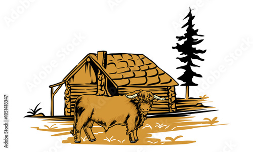 highland cattle with cabin behind it