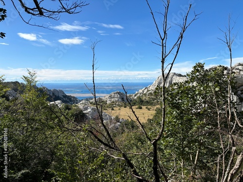 Obraz na płótnie Velebit mountain in Croatia landscape w salonie