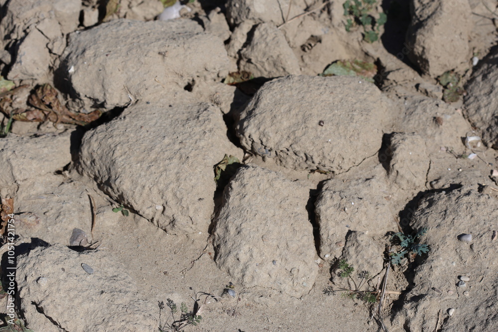 Fototapeta premium sandy soil structure and texture after plowing