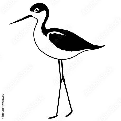 illustration of a black necked stilt