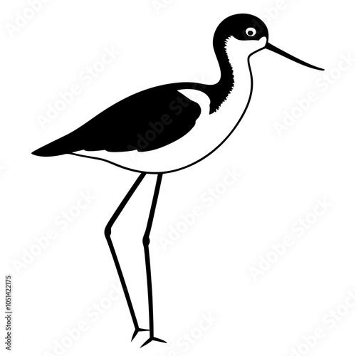 illustration of a black necked stilt