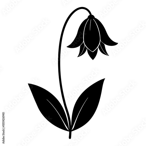 black and white bluebell  flower