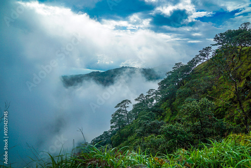 A mist-covered forested hillside with a few scattered trees under a partly cloudy sky.