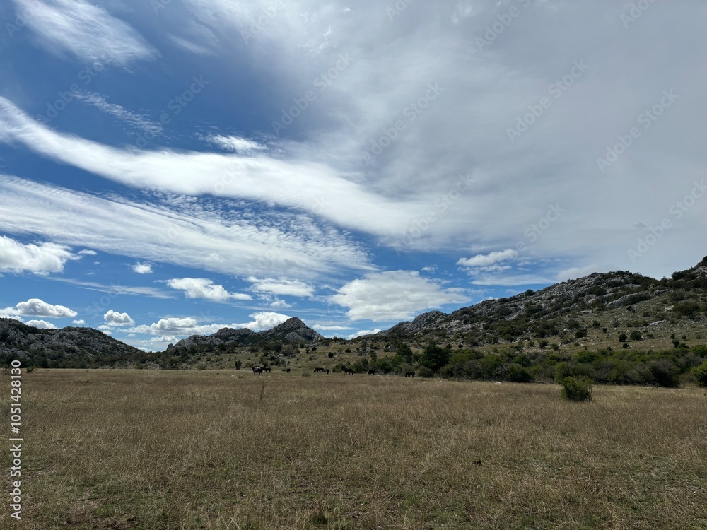 Velebit mountain in Croatia landscape