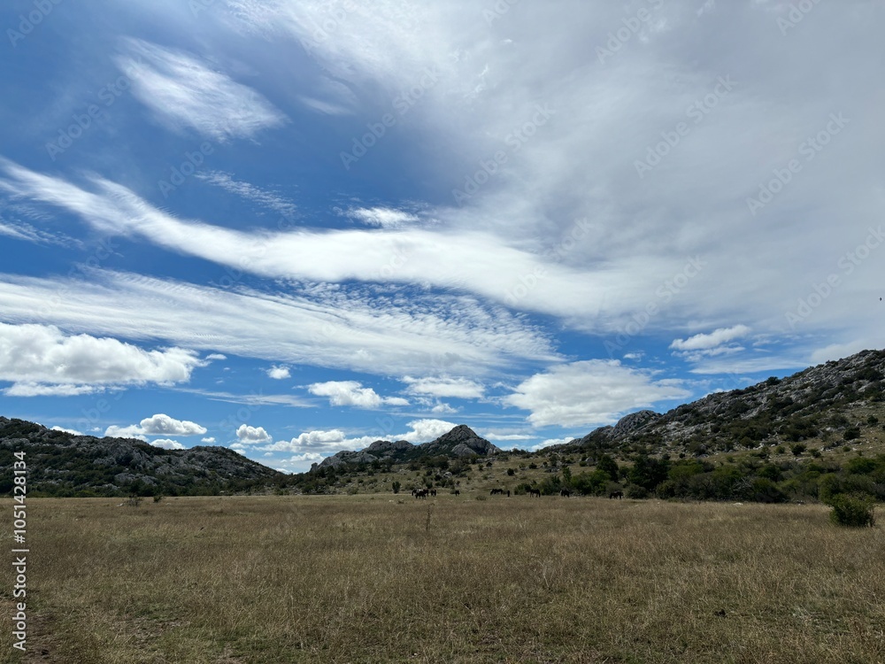 Velebit mountain in Croatia landscape