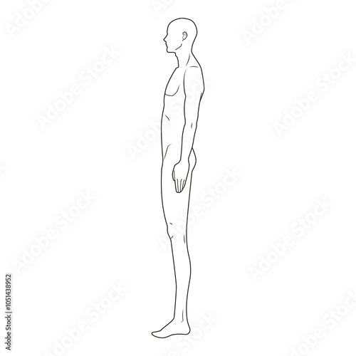 Side view of a human anatomy outline, showing full body proportions and simplified anatomical details in a minimalist line drawing style.
