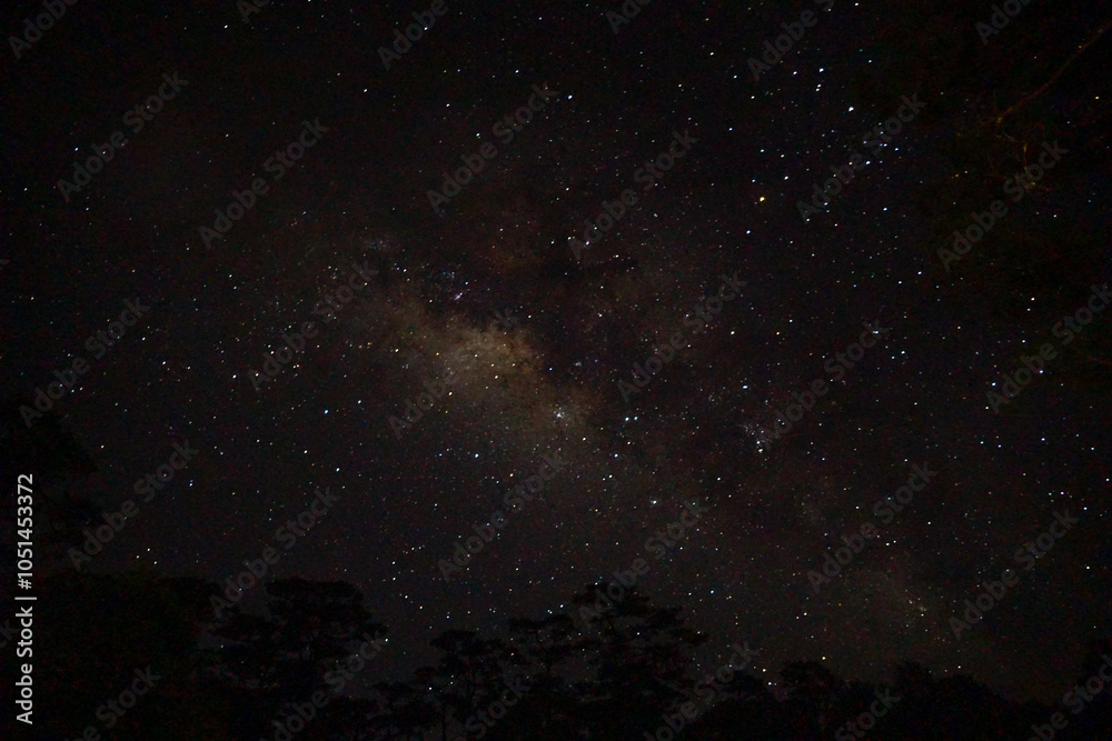 Fototapeta premium A starry night sky with countless twinkling stars.