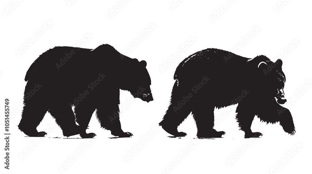 Fototapeta premium Bears silhouette isolated in White background