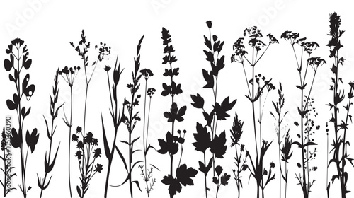 Big floral collections of black silhouettes of meadow herbs