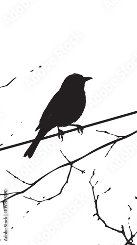 Black and white bird illustration of a silhouette on a wire