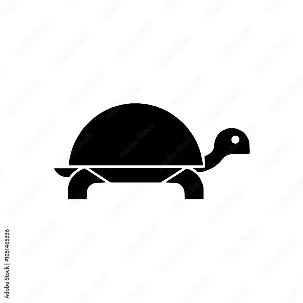 Fototapeta premium Turtle