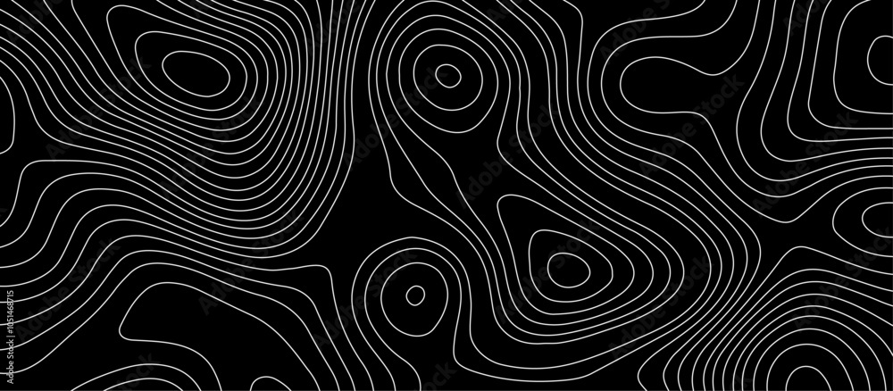 Fototapeta premium Abstract white wave paper curved reliefs background design. The black on white contours topography stylized relief diagram line wave carve pattern background.