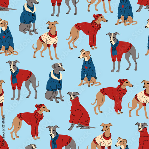 Seamless pattern with greyhounds in clothes. Vector graphics.