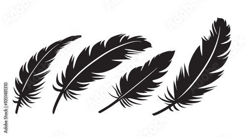 black silhouettes of bird feather , black silhouettes isolated on white background 