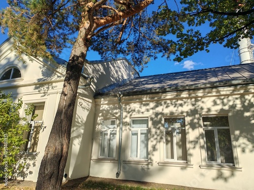 modest white building with large windows nestled among trees and greenery on a sunny day. The image reflects the growing trend of integrating green spaces into urban architecture for sustainability. photo