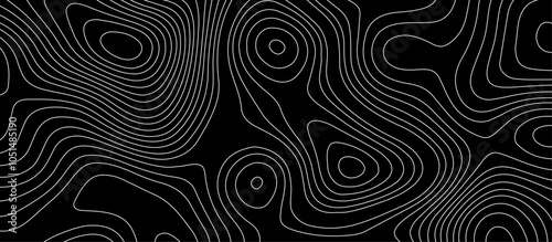 Abstract white wave paper curved reliefs background design. The black on white contours topography stylized relief diagram line wave carve pattern background.
