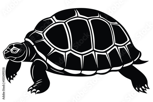 tortoise icon vector black silhouette. EPS File