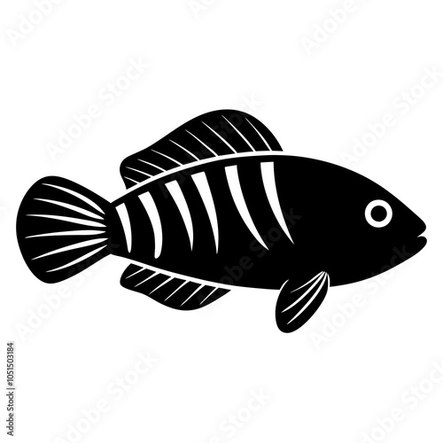 illustration of a fish