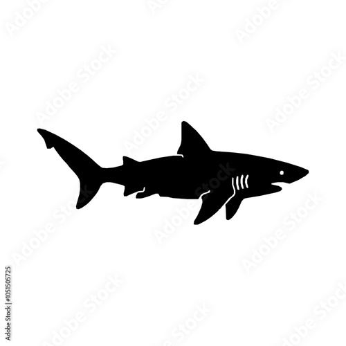 Shark