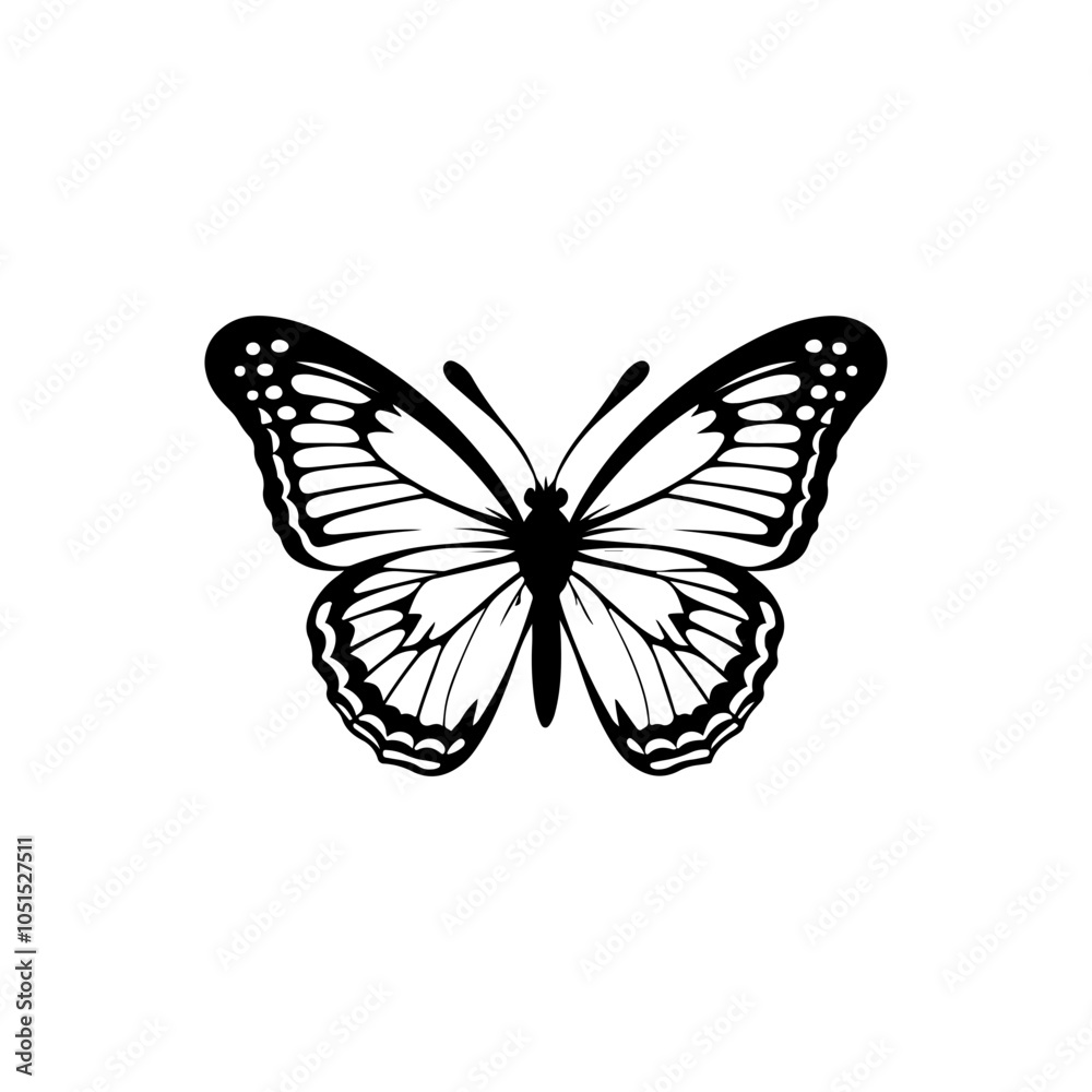 Obraz premium Zebra Longwing Butterfly