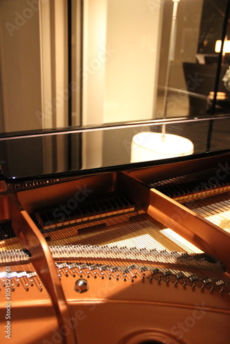 Close-up of the Grand piano strings.