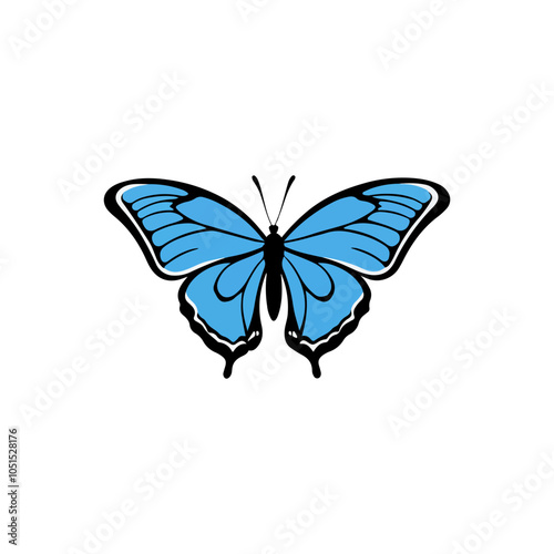 Blue Morpho Butterfly