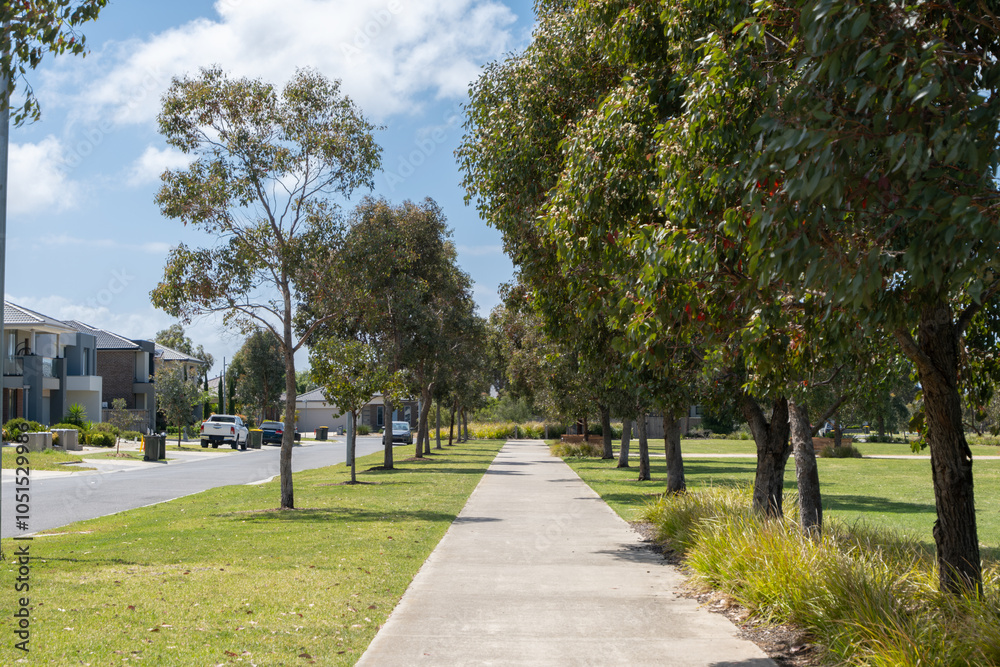 A wide, inviting pathway lined with native trees leads through a tranquil Australian suburban neighborhood with a row of residential houses on roadside.A straight public concrete footpath in suburb A wide, inviting pathway lined with native trees leads through a tranquil Australian suburban neighborhood with a row of residential houses on roadside.A straight public concrete footpath in suburb