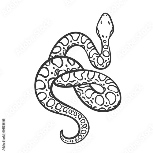 Anaconda snake line icon. Outline hand drawn water boa, vintage sketch of water boa, tropical reptile. Nature of South America, animal mascot, simple aquatic coiled snake icon vector illustration