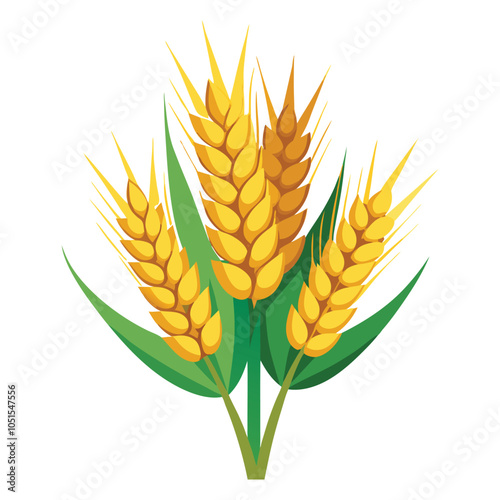 Wheat ears spikelets with grains vector