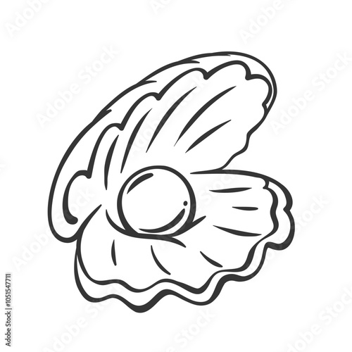 Open shell with pearl line icon. Outline hand drawn clam valves opening with mother of pearl, vintage sea treasure. Underwater mollusk, necklace decoration mascot, seashell icon vector illustration