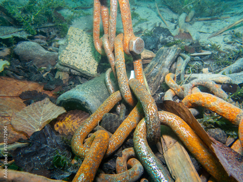 Chains underwater connecting buoys in a freshwater lake photo