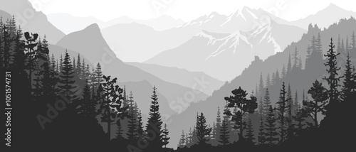 Sunrise in the mountains, wild forested gorge, misty silhouettes of ridges, black and white landscape	
