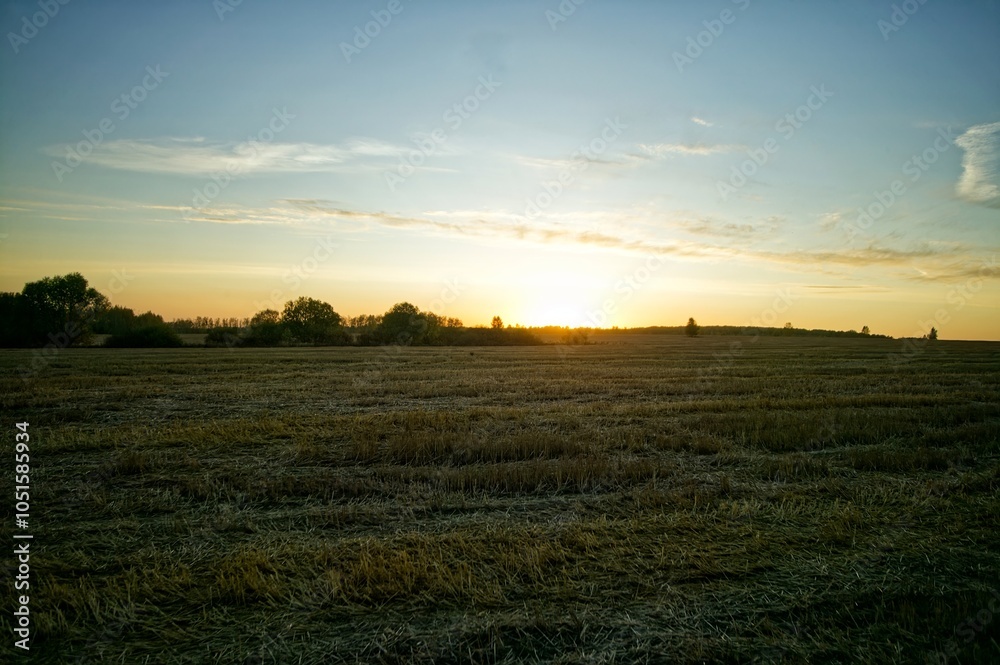 Obraz premium Sunny evening over a mown wheat field