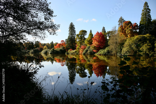 Autumn trees in Sussex, England